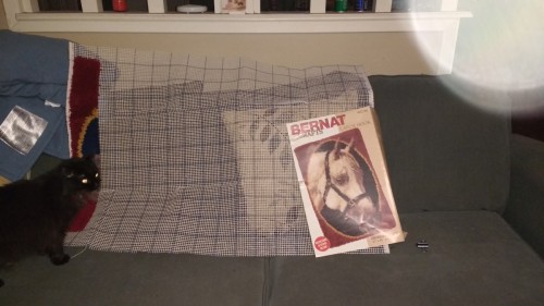 Incomplete Projects 1 - Latch Hook Rug